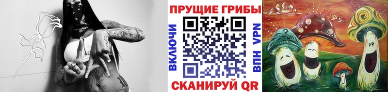дарнет шоп  KRAKEN как войти  Галлюциногенные грибы прущие грибы  Лихославль 